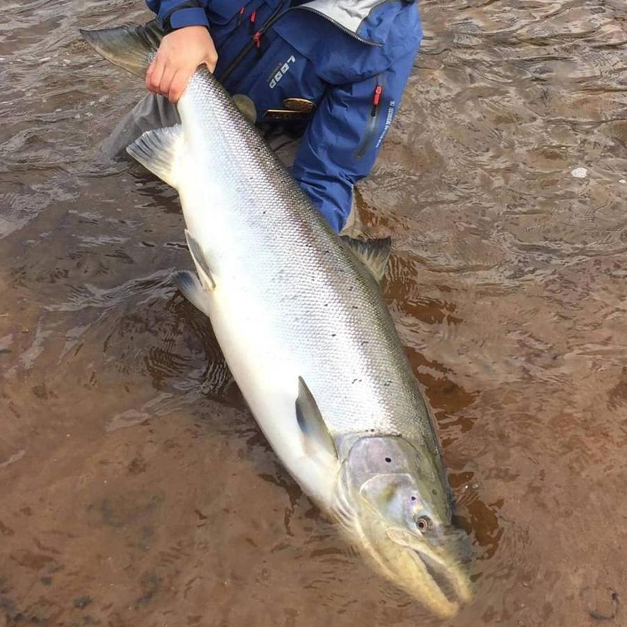 Jockfall Fishing And Activities - Oeverkalix Экстерьер фото